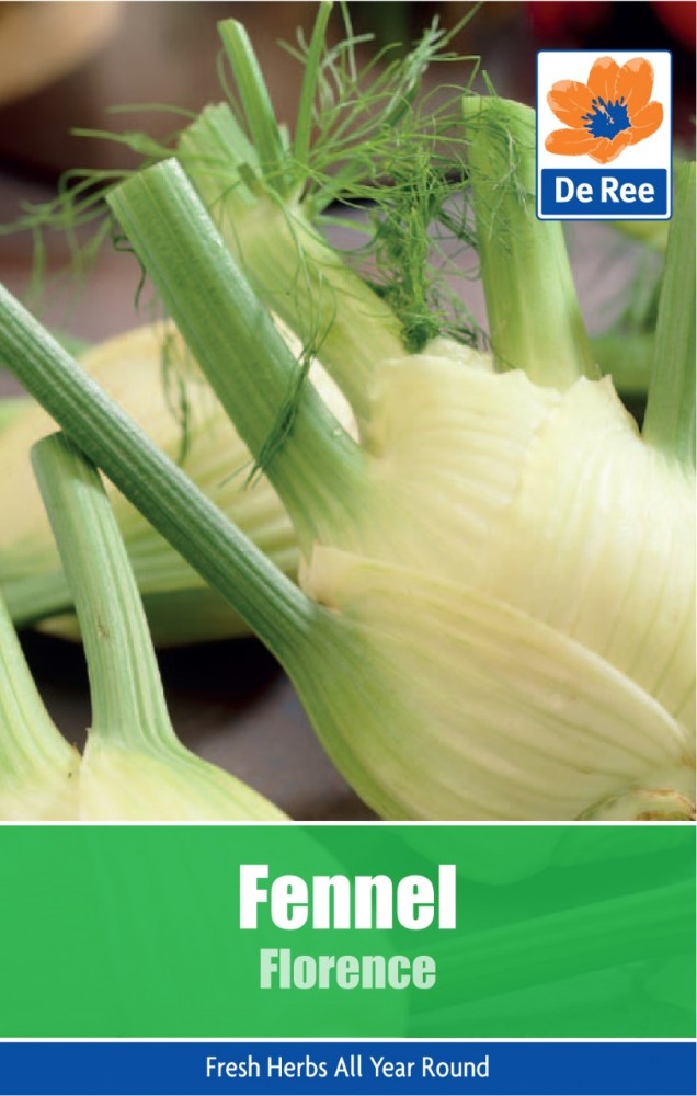 Fennel: Florence Seeds