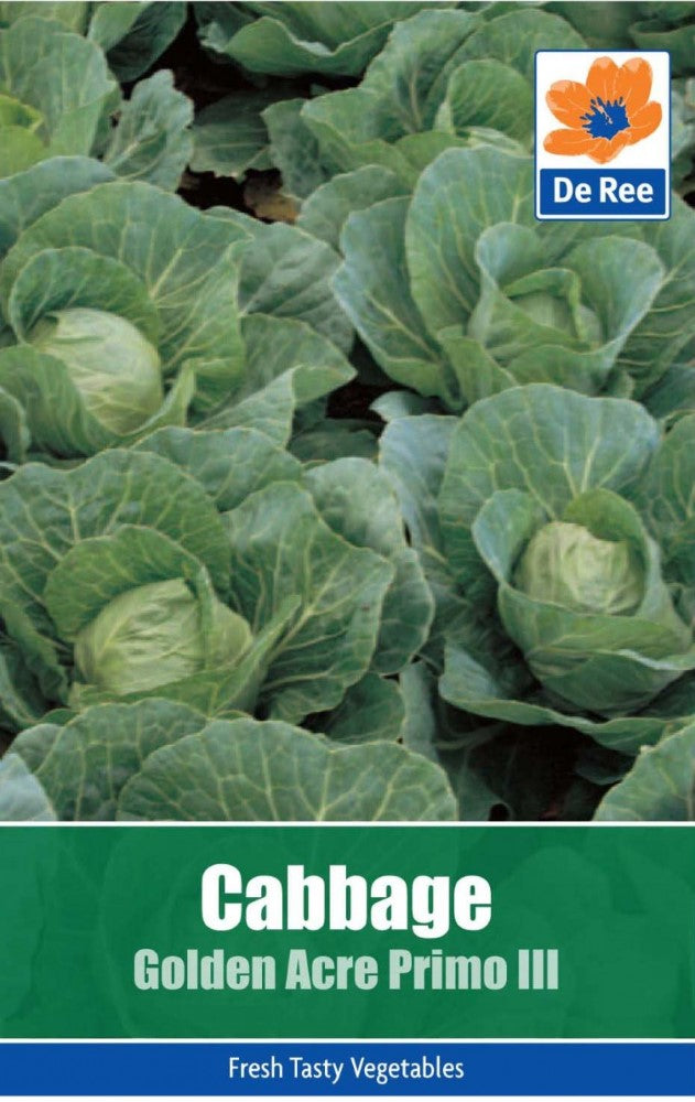 Cabbage: Golden Acre Primo III Seeds