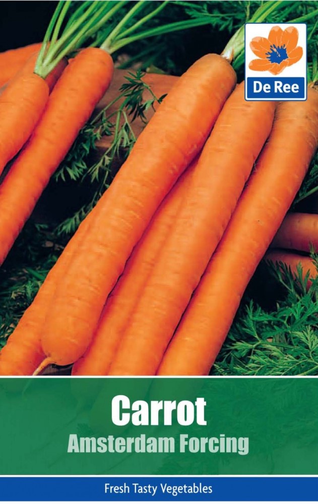 Carrot: Amsterdam Forcing Seeds