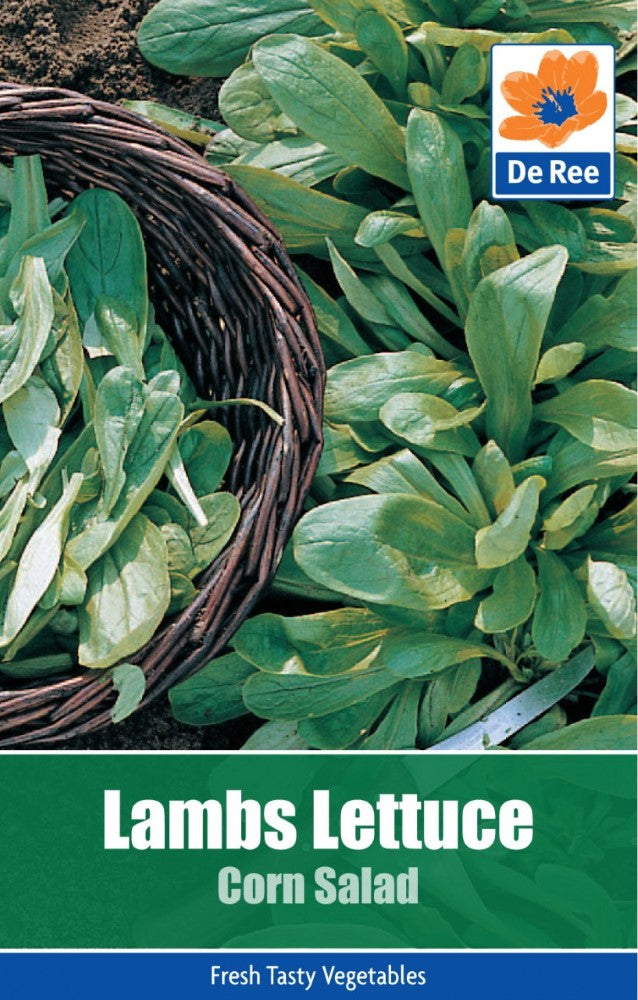 Lambs Lettuce: Corn Salad Seeds