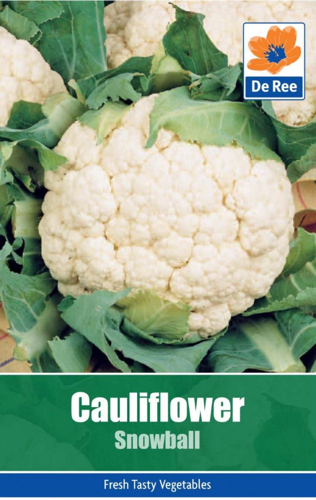 Cauliflower: Snowball Seeds