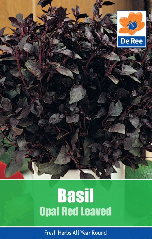 Basil: Opal Red Leaved Seeds