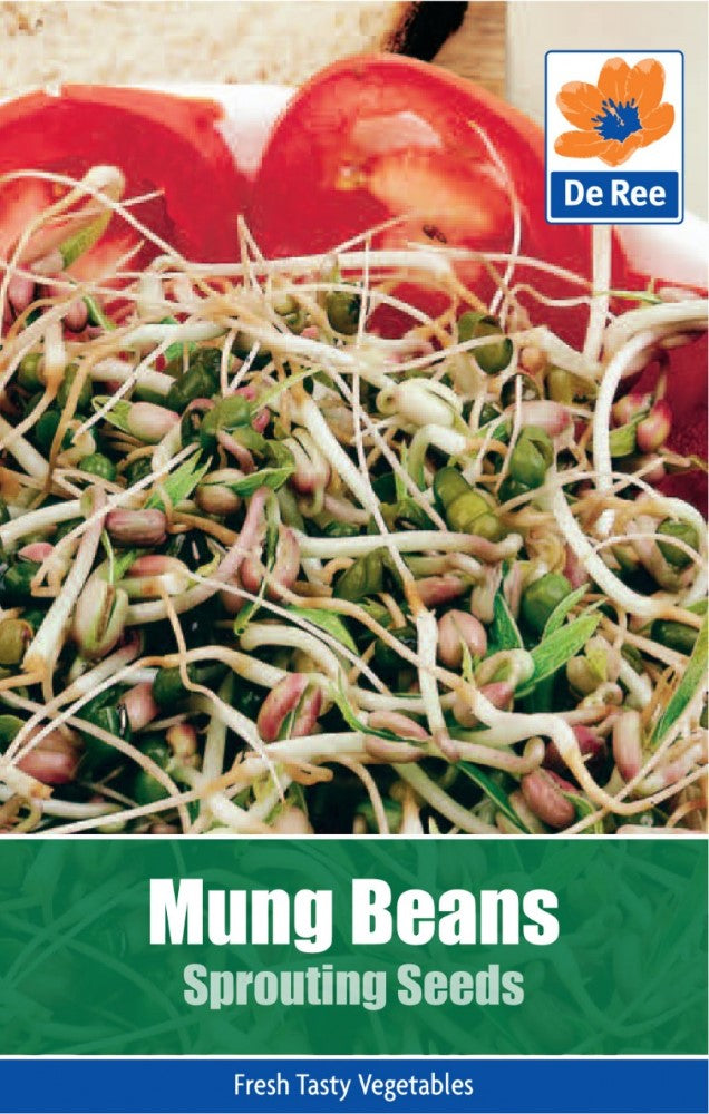 Mung Beans Sprouting Seeds