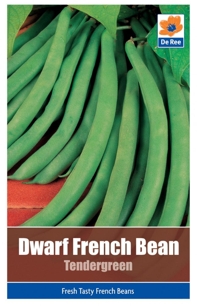 Dwarf French Bean: Tendergreen Seeds