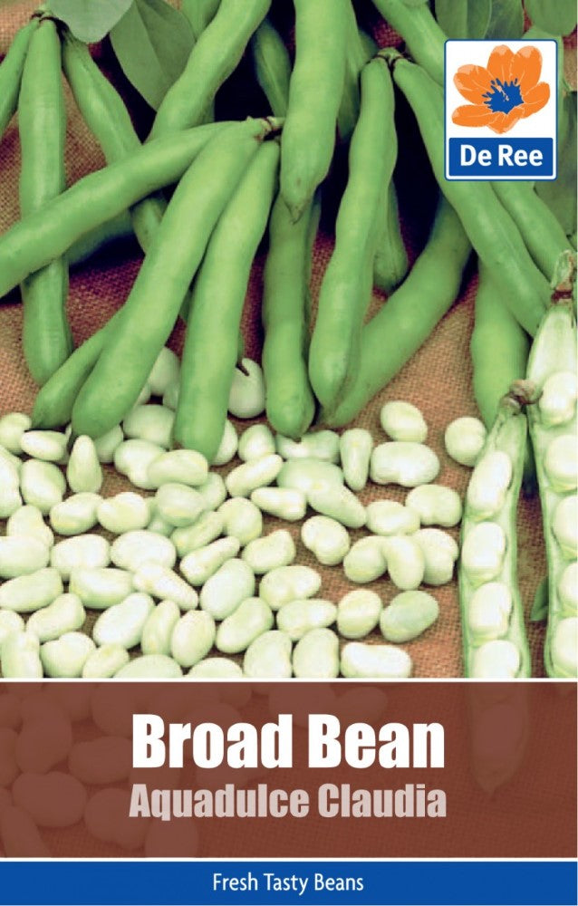 Broad Bean: Aquadulce Claudia Seeds