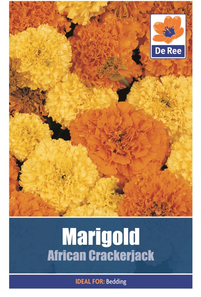 Marigold: African Crackerjack Seeds
