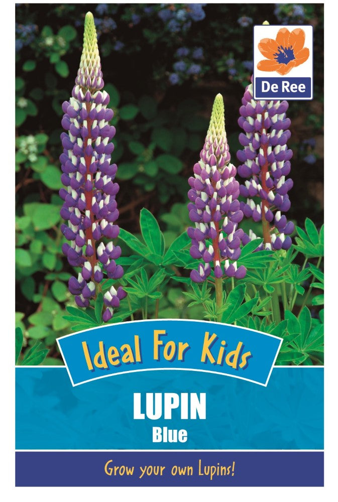Lupin: Blue Seeds