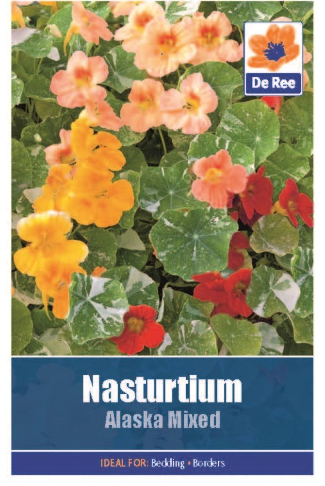 Nasturtium: Alaska Mixed Seeds