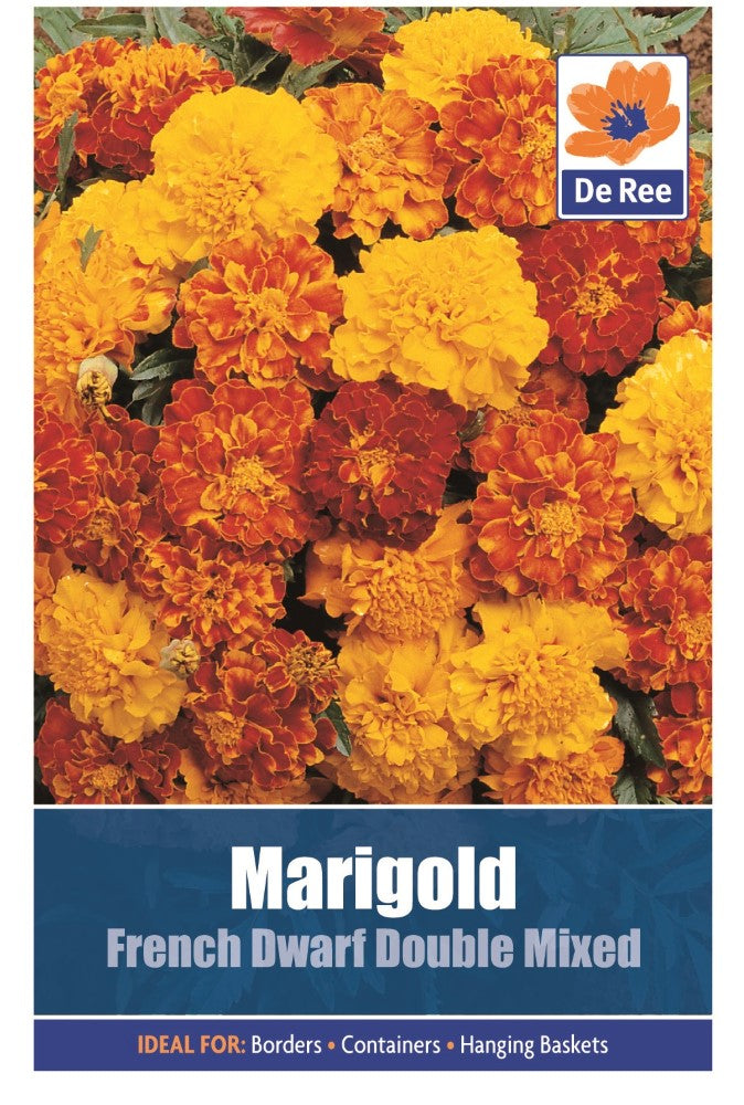 Marigold: French Dwarf Double Mixed Seeds
