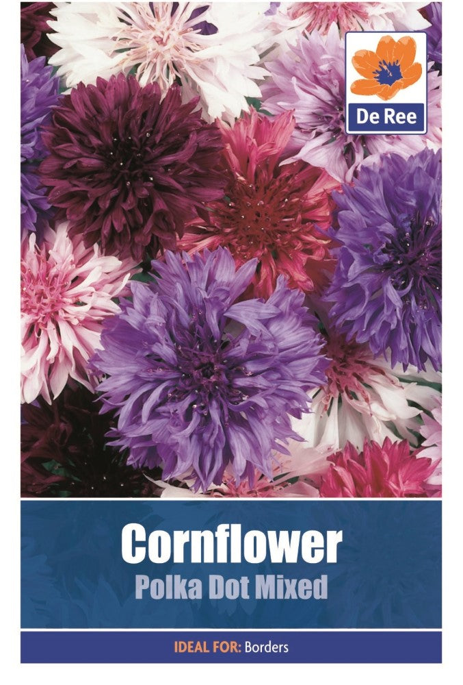 Cornflower: Polka Dot Mixed Seeds