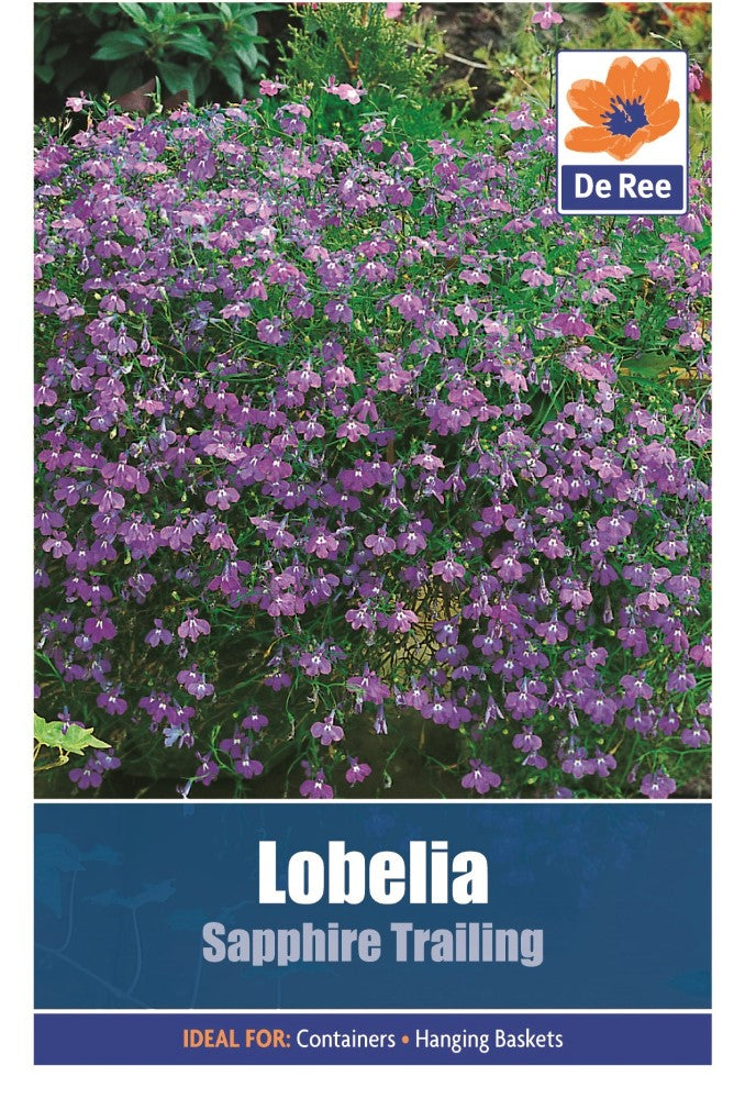 Lobelia: Sapphire Trailing Seeds