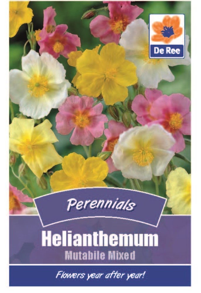 Helianthemum: Mutabile Mixed Seeds