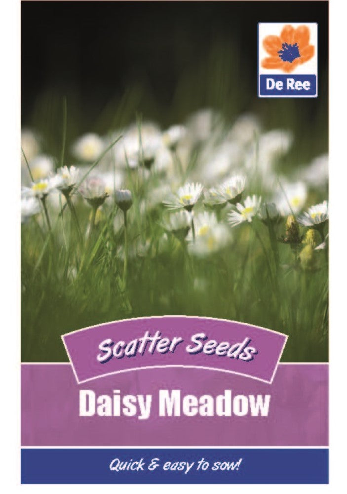 Daisy Meadow Scatter Seeds