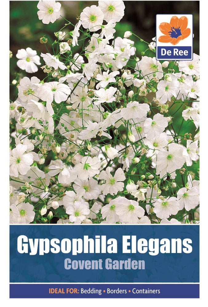 Gypsophila Elegans: Covent Garden Seeds