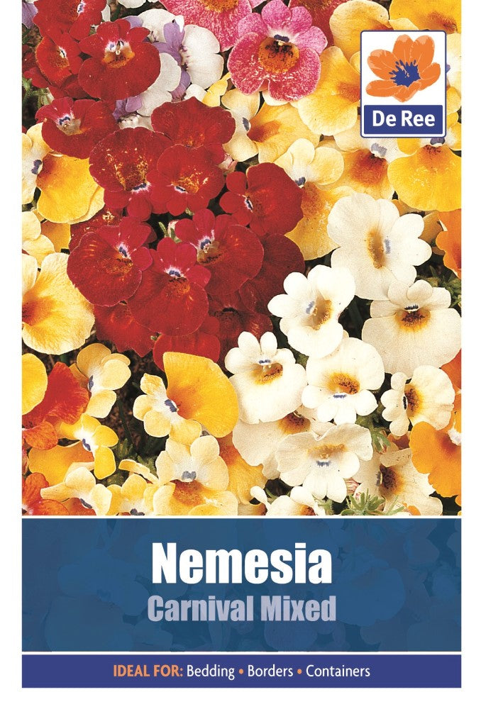 Nemesia: Carnvial Mixed Seeds