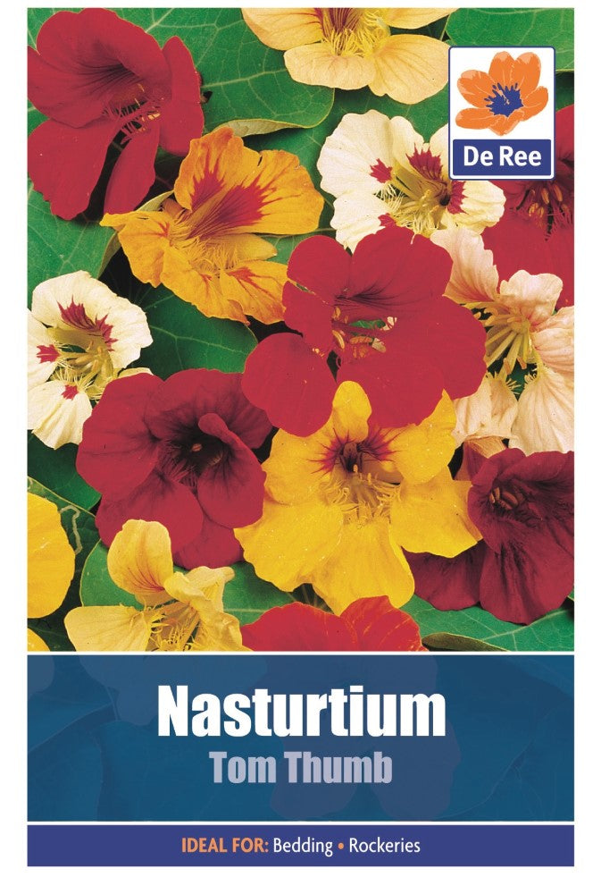 Nasturtium: Tom Thumb Seeds