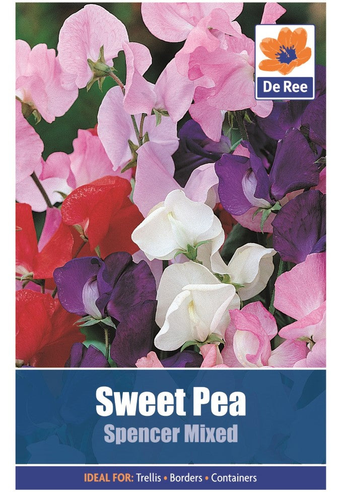 Sweet Pea: Spencer Mixed Seeds