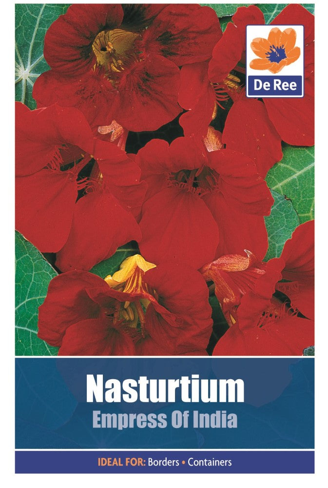 Nasturtium: Empress of India Seeds