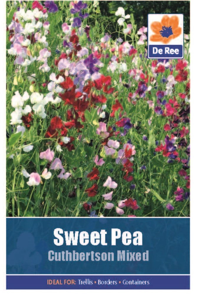 Sweet Pea: Cuthbertson Mixed Seeds