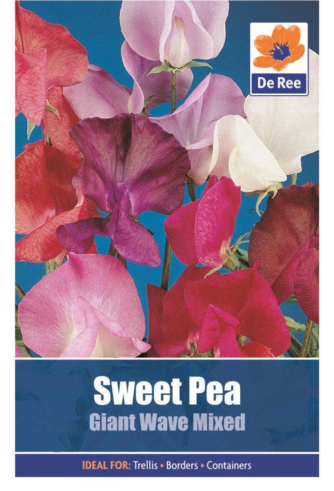 Sweet Pea: Giant Wave Mixed Seeds
