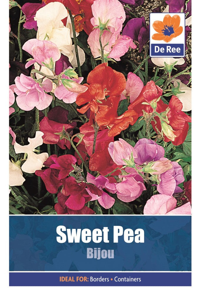 Sweet Pea: Bijou Seeds