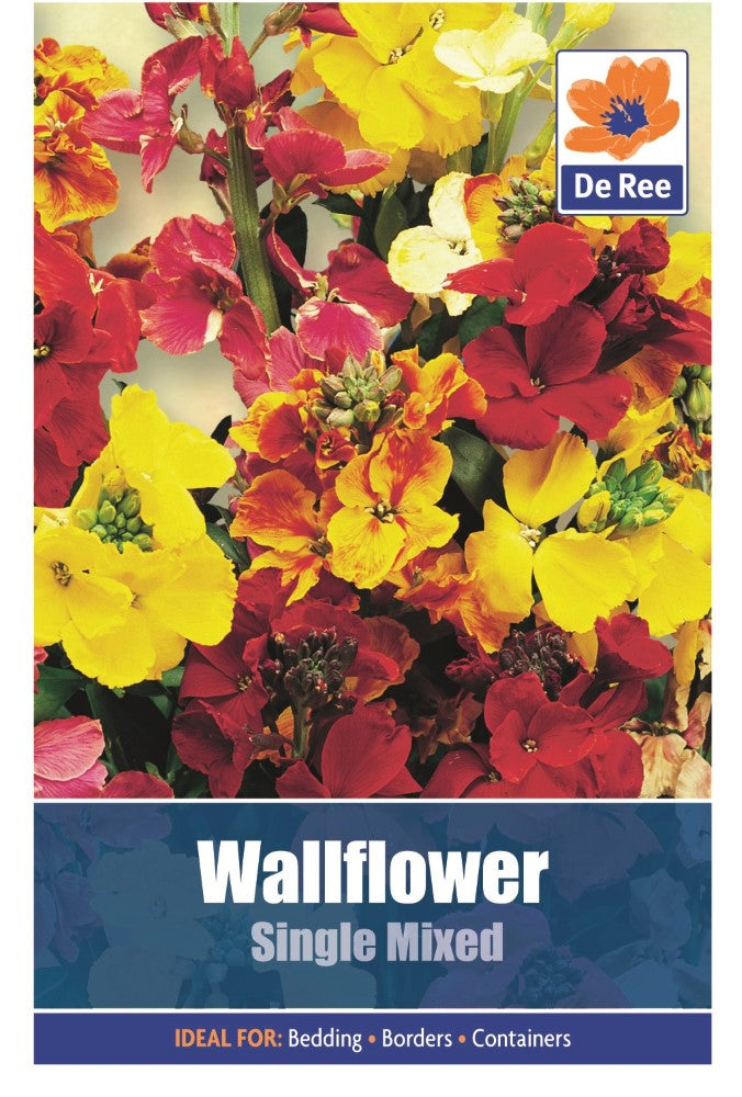 Wallflower: Single Mixed Seeds