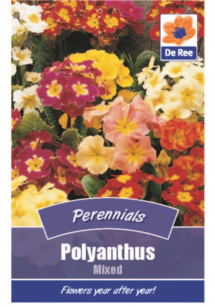 Polyanthus: Mixed Seeds