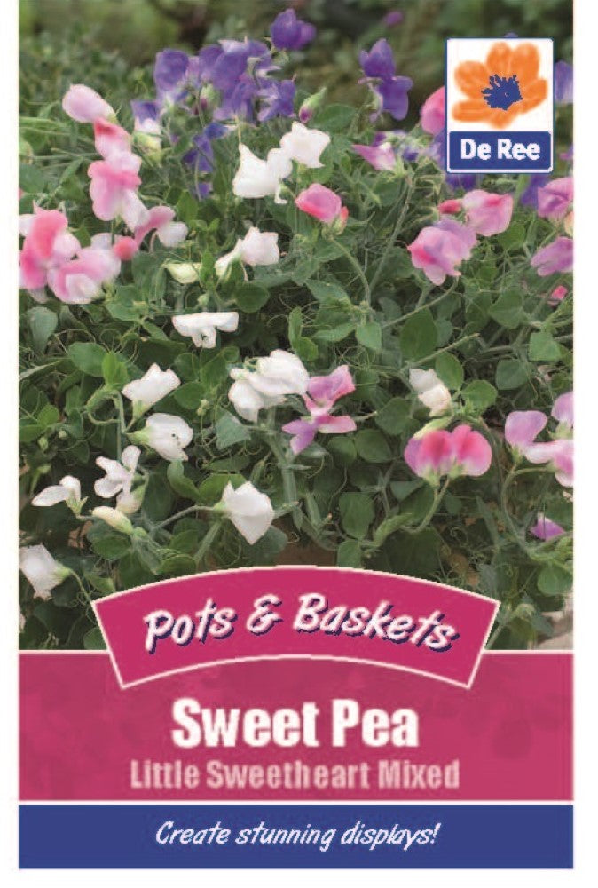 Sweet Pea: Little Sweetheart Mixed Seeds