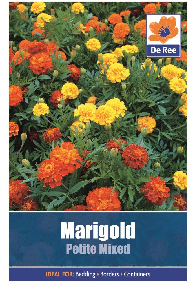 Marigold: Petite Mixed Seeds