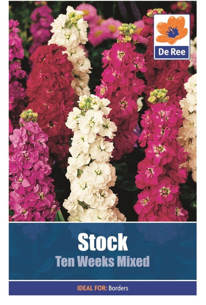 Stock: Ten Weeks Mixed Seeds