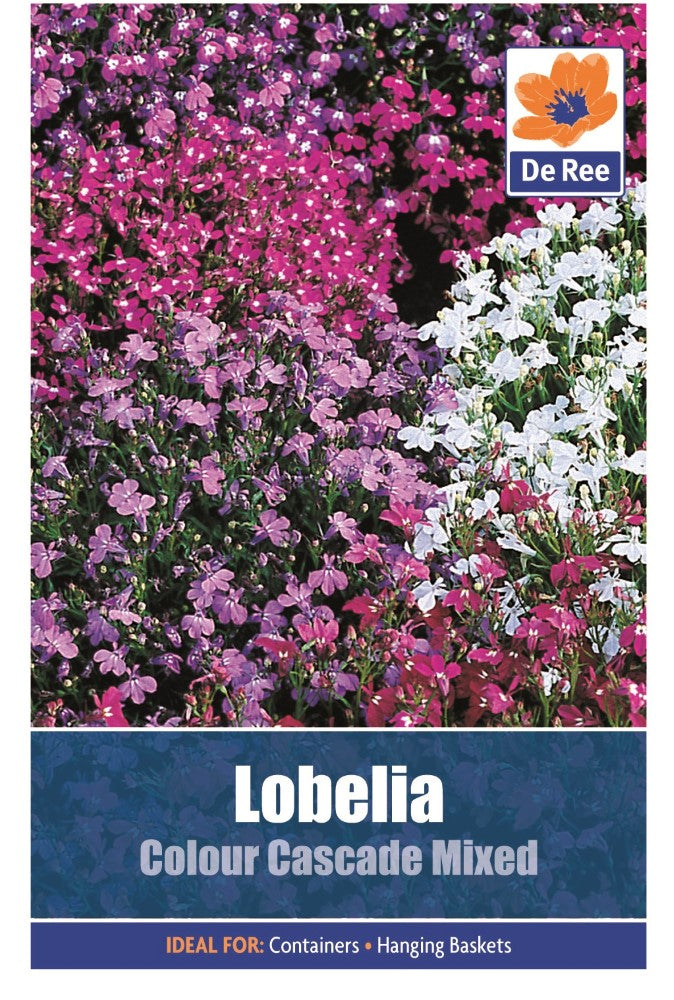 Lobelia: Colour Cascade Mixed Seeds