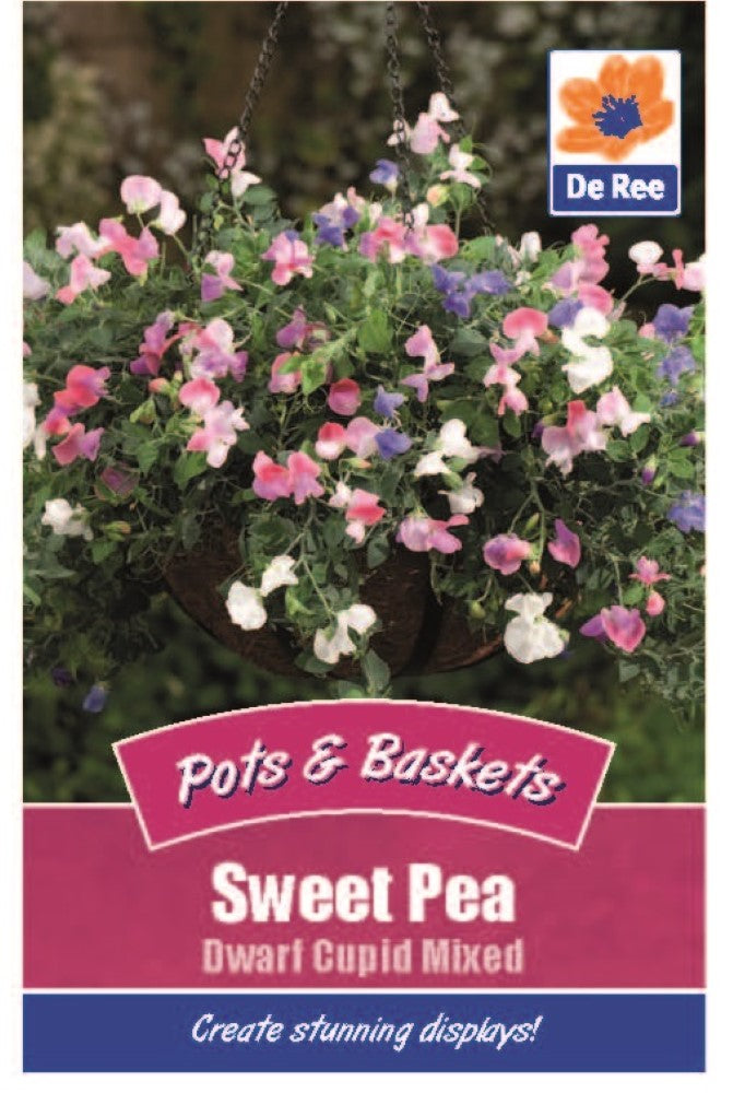 Sweet Pea: Dwarf Cupid Mixed Seeds