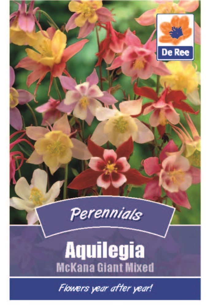 Aquilegia: McKana Giant Mixed Seeds