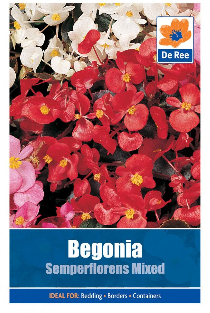 Begonia: Semperflorens Mixed Seeds