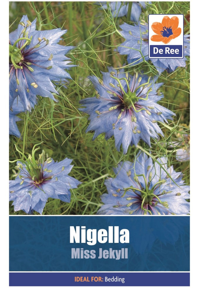 Nigella: Miss Jekyll Seeds