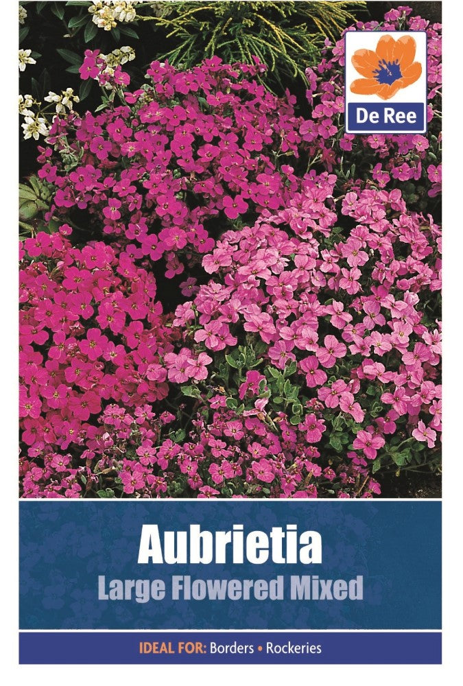 Aubrietia: Large Flowered Mixed Seeds