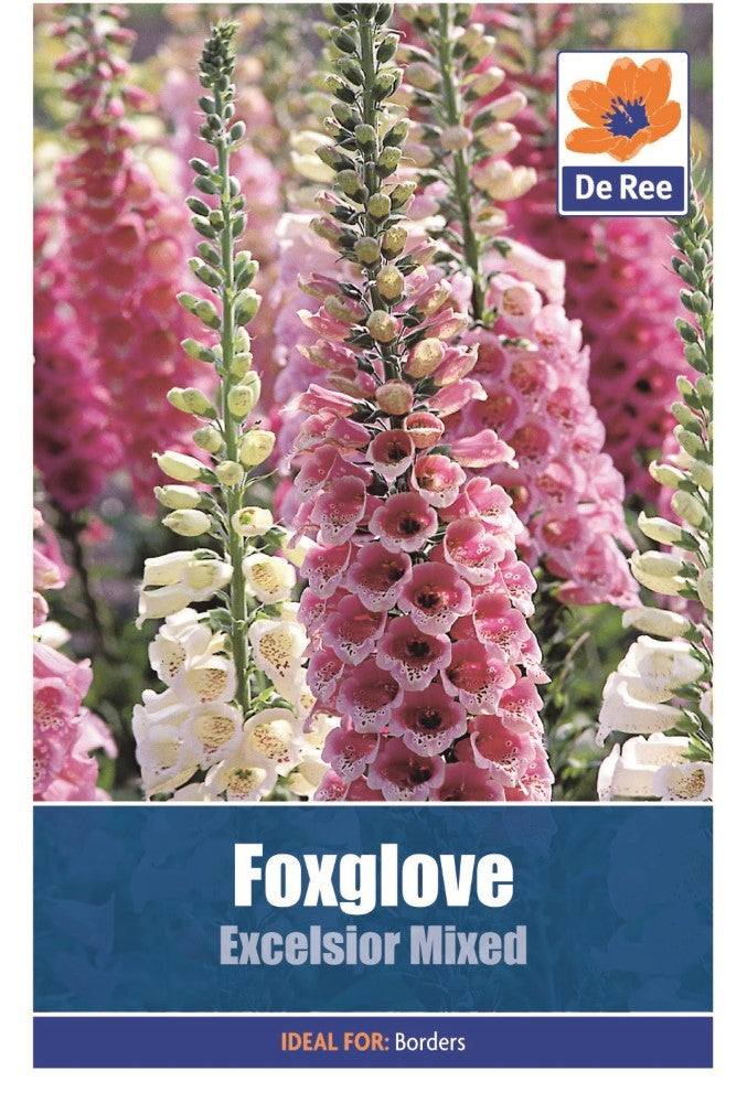 Foxglove: Excelsior Mixed Seeds