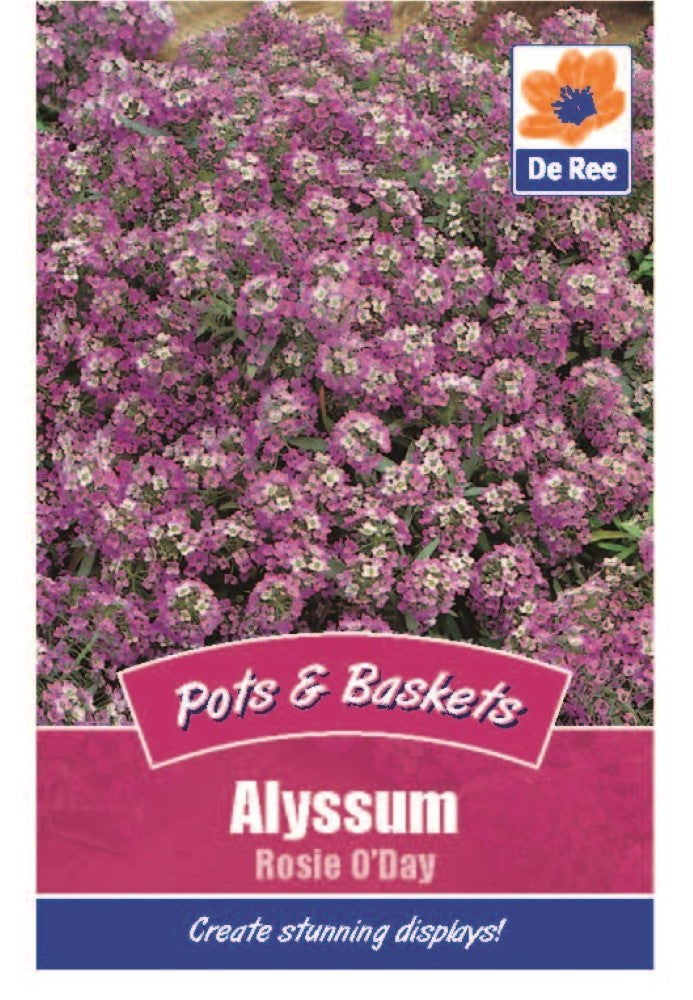 Alyssum: Rosie O'Day Seeds