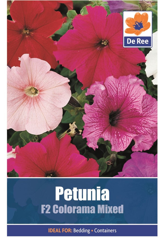 Petunia: F2 Colorama Mixed Seeds
