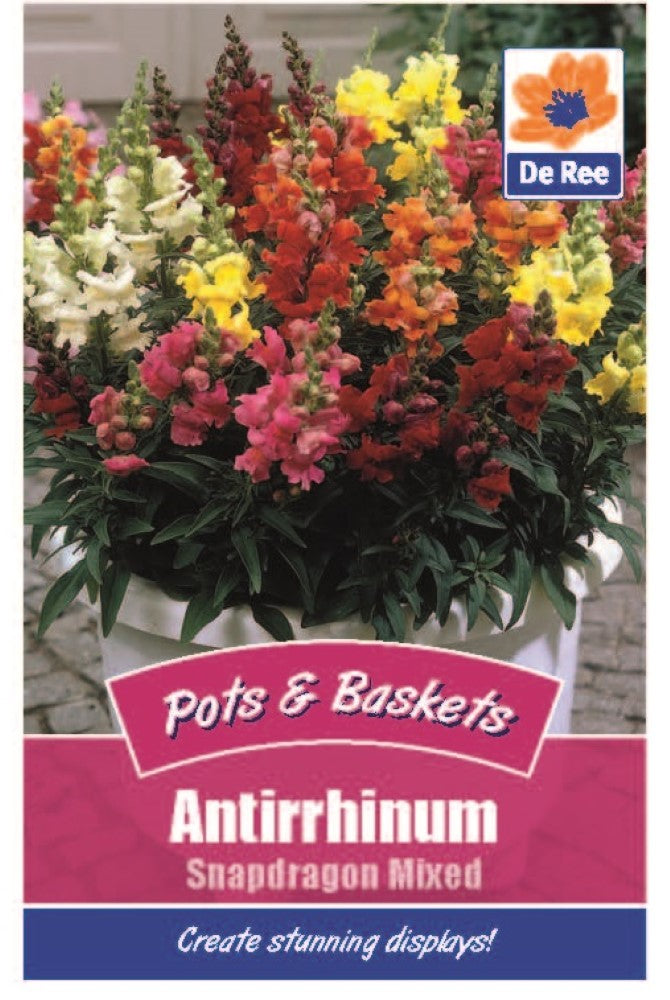 Antirrhinum: Snapdragon Mixed Seeds