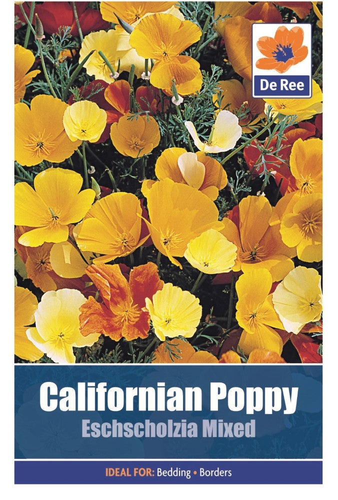 Californian Poppy: Eschscholzia Mixed Seeds