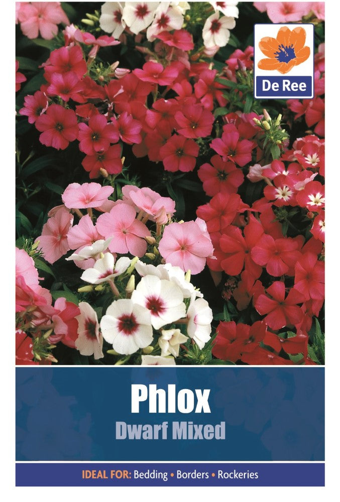 Phlox: Dwarf Mixed Seeds