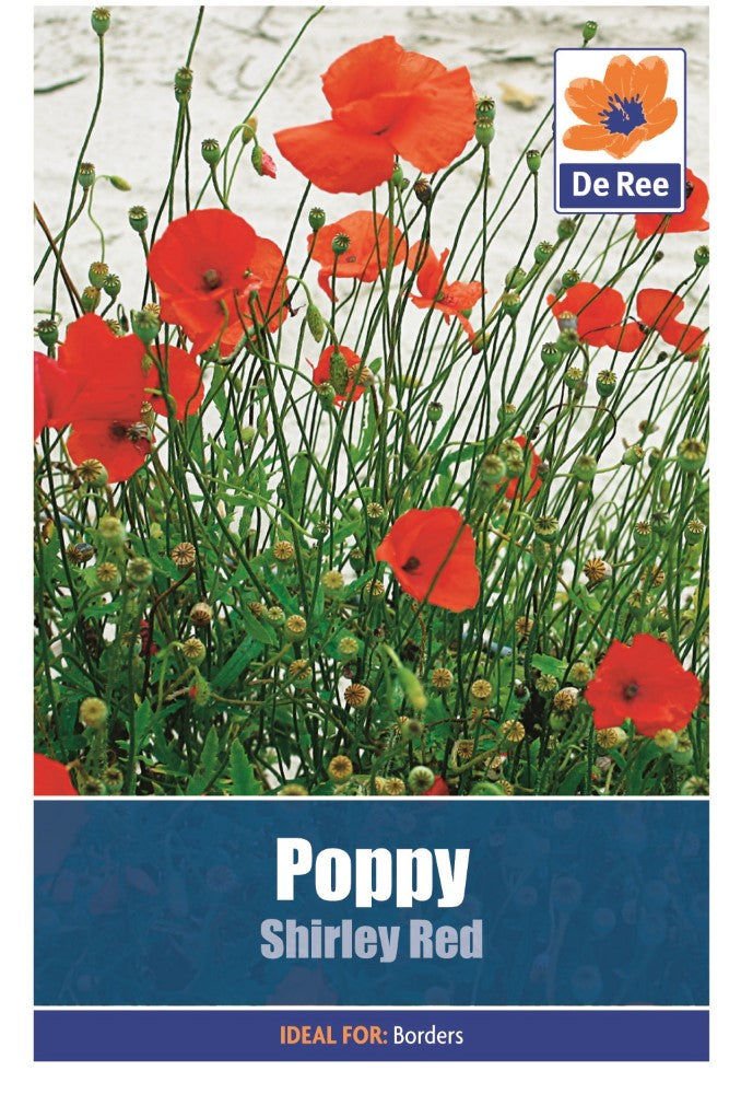 Poppy: Shirley Red Seeds