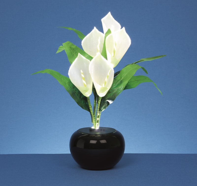 Fibre Optic White Calla Lilies Plant