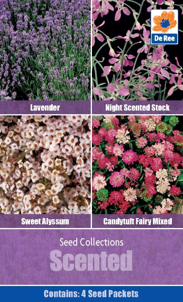 Scented - Seed Collection