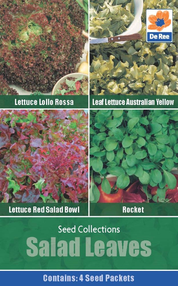 Salad Leaves - Seed Collection