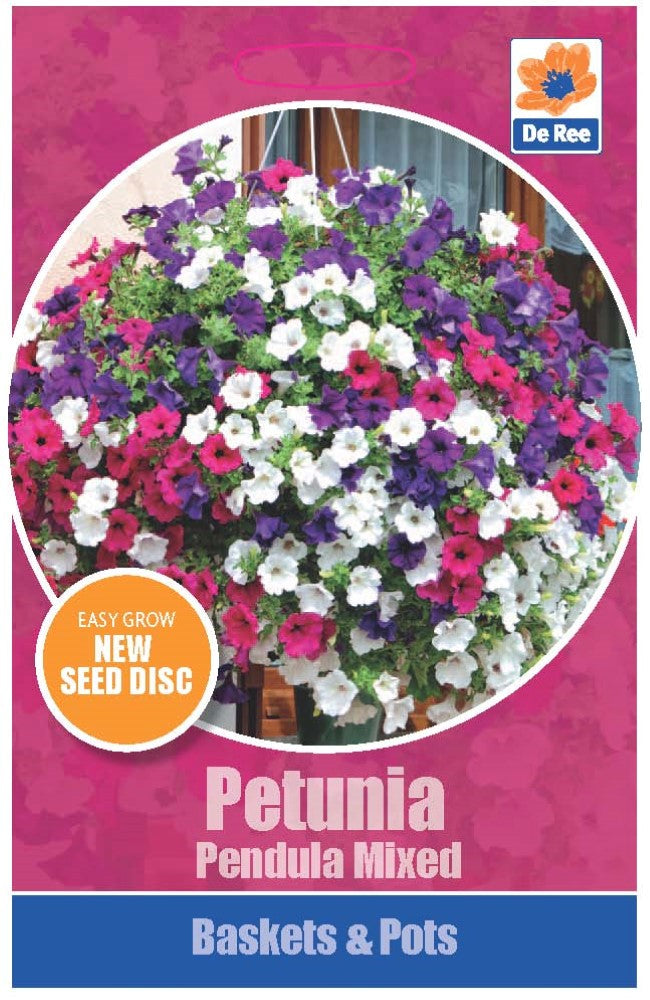 Petunia Pendula Mixed