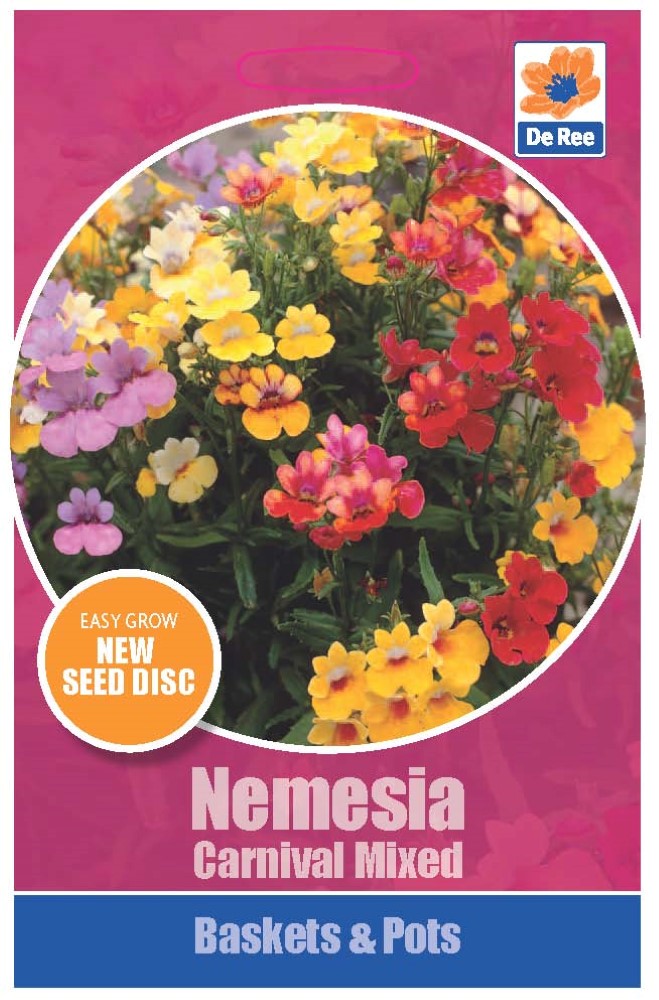 Nemesia Carnival Mixed