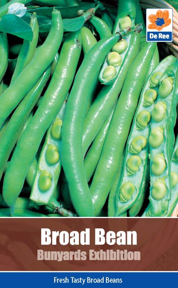 Broad Bean - Bunyards Exhibition Seeds (Large)