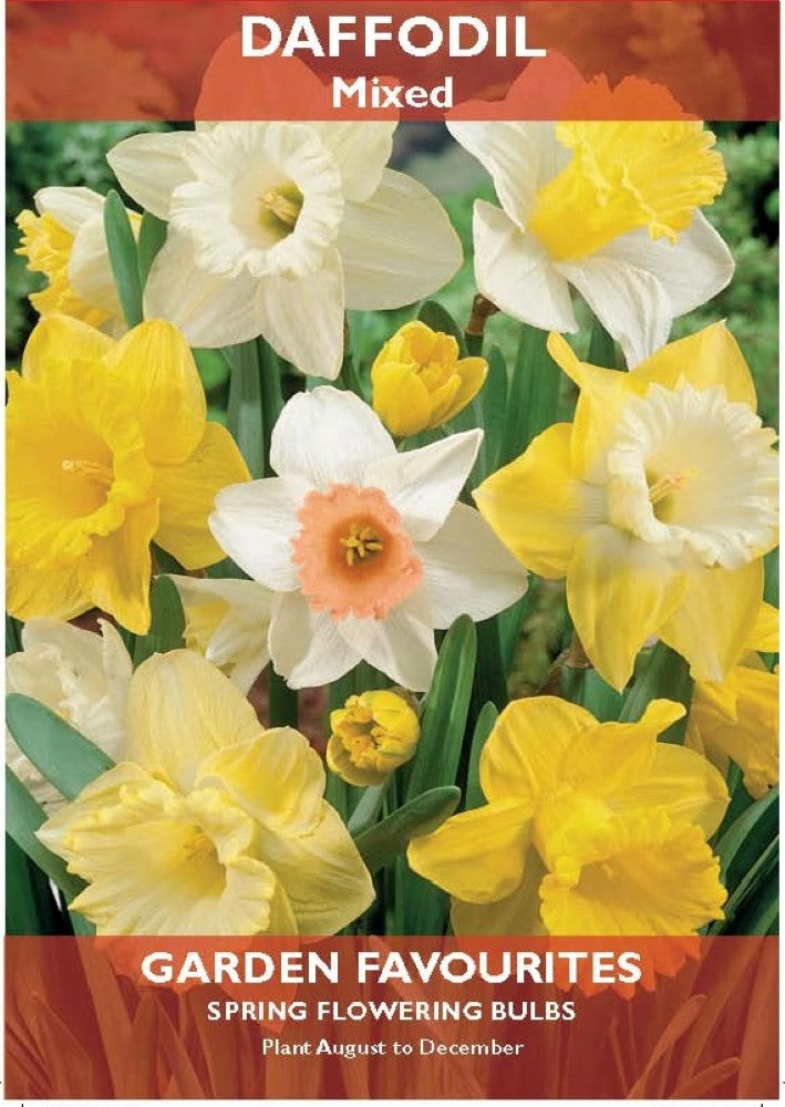 Daffodil Mixed Bulbs